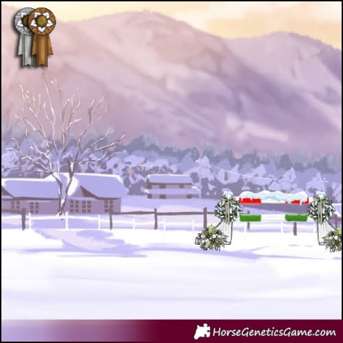 Horse Color:Platinum Silver Brown Chinchilla Dun Tobiano Brindle 