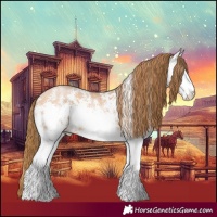 Horse Color:White Spotted Bay Pearl