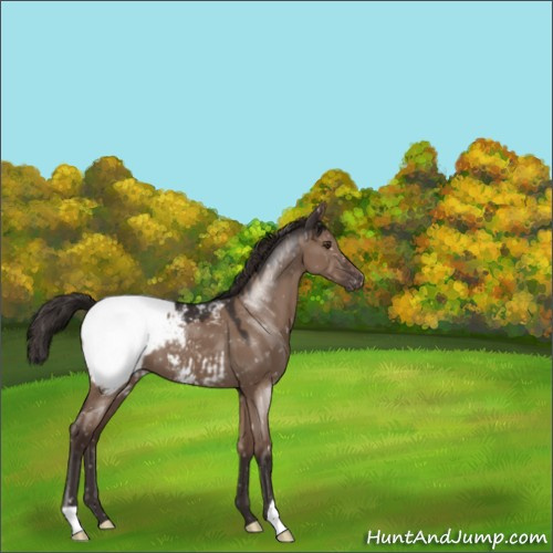 Horse Color:Liver Red Dun Snowcap 