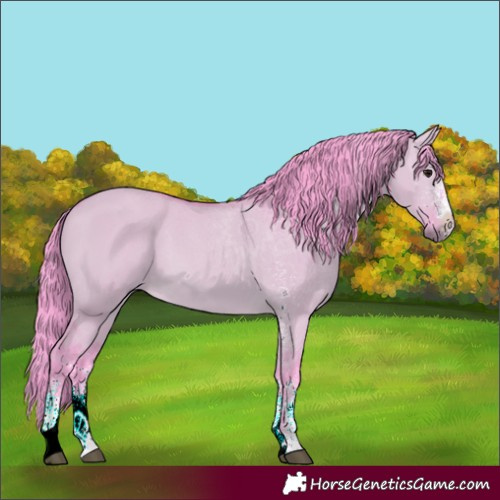 Horse Color:Watercolor White Spotted Bay Dun 