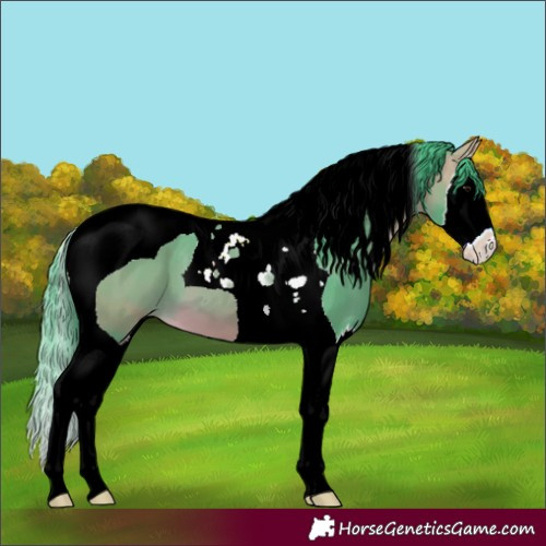 Horse Color:Watercolor Buckskin Splash Tobiano 