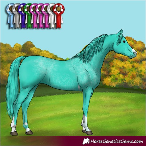 Horse Color:Watercolor Black Tobiano 