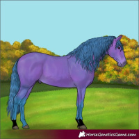 Horse Color:Watercolor Bay 