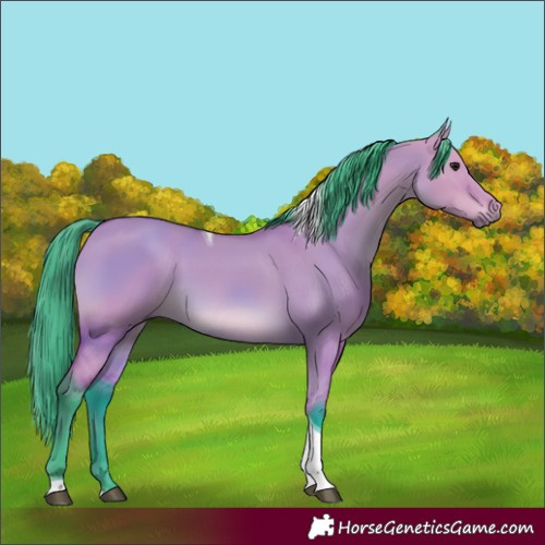 Horse Color:Watercolor Bay Dun Tobiano 