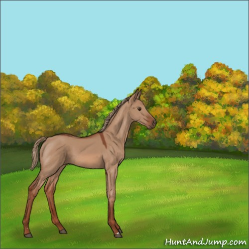 Horse Color:Red Dun 