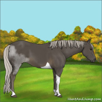 Horse Color:Silver Smoky Black Tobiano 