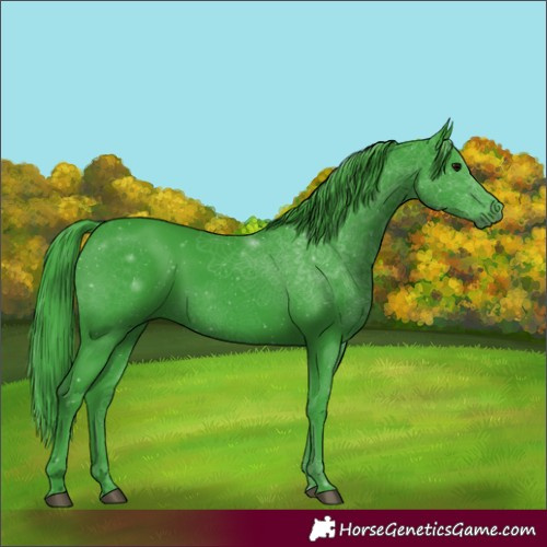 Horse Color:Watercolor Black 