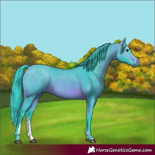 Horse Color:Watercolor Brown Sabino 