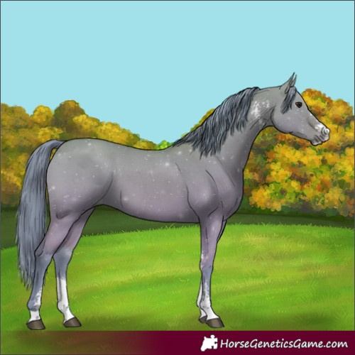 Horse Color:Watercolor Bay Dun Sabino 