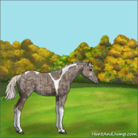 Horse Color:Silver Smoky Black Ice Tobiano Rabicano 