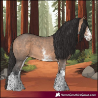 Horse Color:White Spotted Brown Dun 