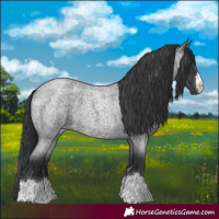 Horse Color:Blue Roan 