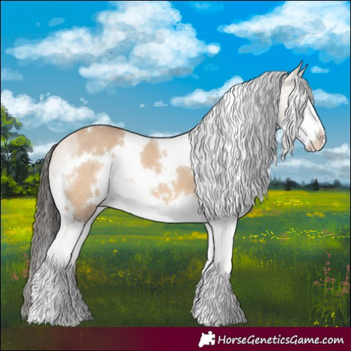 Horse Color:White Spotted Bay Dun Splash 