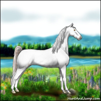 Horse Color:Sable Champagne Dun Sabino Tobiano Blanket  and Silver Sable Champagne Dun Sabino Tobiano Blanket 