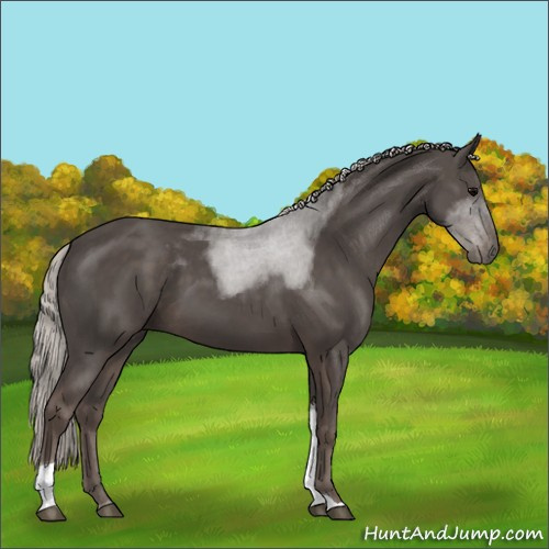 Horse Color:Silver Black Tobiano 