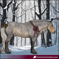 Horse Color:Silver Smoky Blue Roan