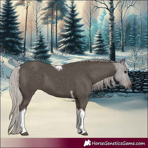 Horse Color:Silver Black Tobiano