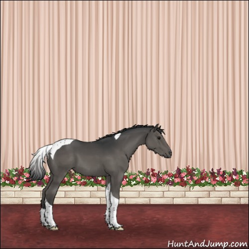 Horse Color:Grullo Tobiano 
