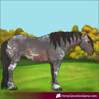 Horse Color:Brown Ice Tobiano