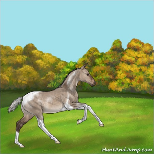 Horse Color:Silver Brown Dun Tobiano 