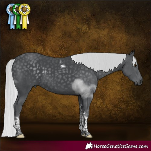 Horse Color:Silver Black Chinchilla Tobiano