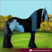 Horse Color:ERROR: UNKNOWN ANOMALY