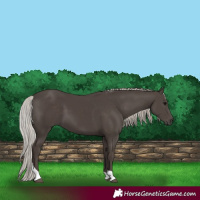 Horse Color:Silver Black Tobiano 
