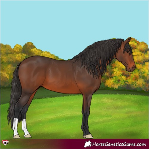 Horse Color:Brown 