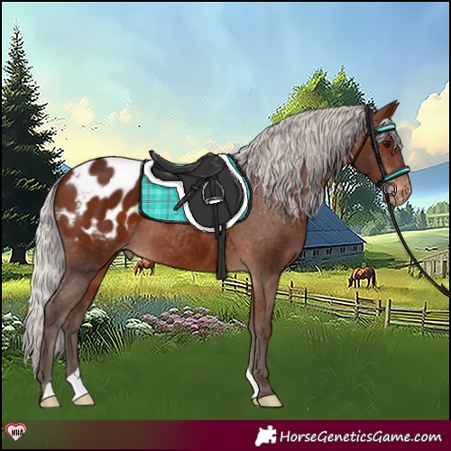 Horse Color:Silver Brown Blanket 