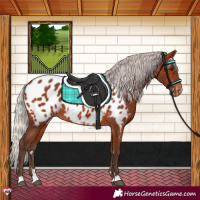 Horse Color:Silver Brown Near Leopard 