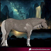 Horse Color:Silver Black Tobiano 