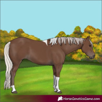 Horse Color:Silver Black Tobiano 