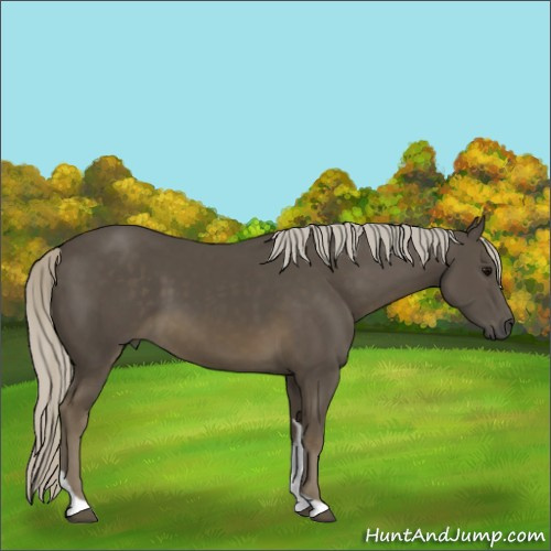Horse Color:Silver Smoky Black Tobiano 