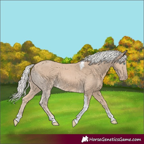 Horse Color:Silver Smoky Creme Tobiano 