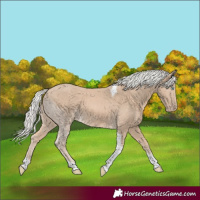 Horse Color:Silver Smoky Creme Tobiano 