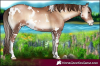 Horse Color:White Spotted Liver Red Onyx Pearl 