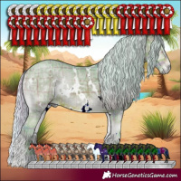 Horse Color:Watercolor Plaid  White Spotted Silver Bay Ice Onyx 