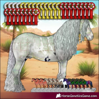 Horse Color:Watercolor Plaid  White Spotted Silver Bay Ice Onyx 