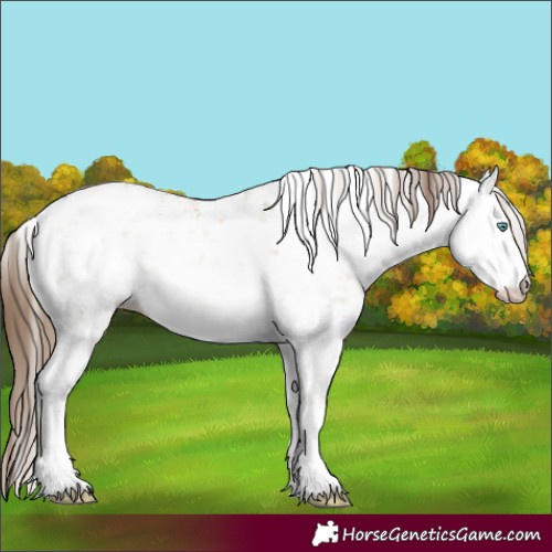 Horse Color:White Spotted Brown Pearl Dun Sabino Rabicano 