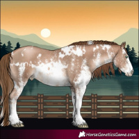Horse Color:White Spotted Liver Chestnut Pearl Rabicano 