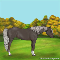 Horse Color:Silver Black Tobiano 