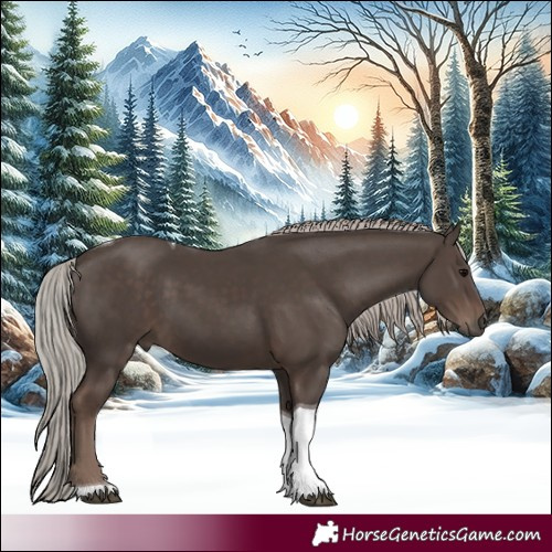 Horse Color:Silver Black Tobiano 