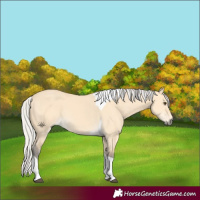 Horse Color:Silver Buckskin Dun Tobiano 