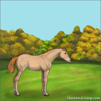 Horse Color:Red Dun 