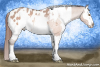 Horse Color:Sable Champagne Sabino Tobiano Blanket and Sable Champagne Sabino Tobiano Blanket