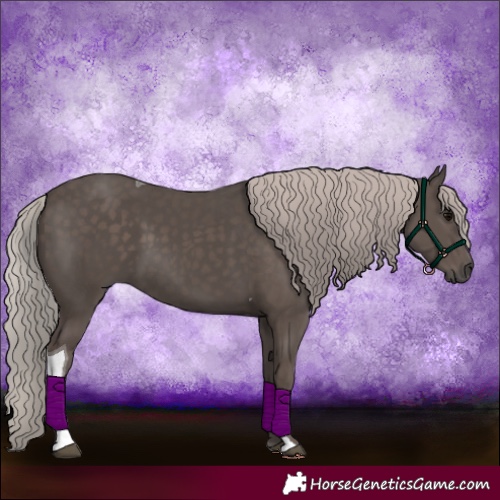 Horse Color:Silver Black Tobiano