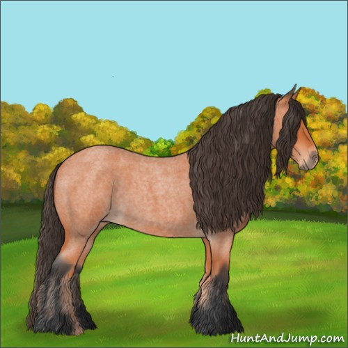 Horse Color:Unknown 