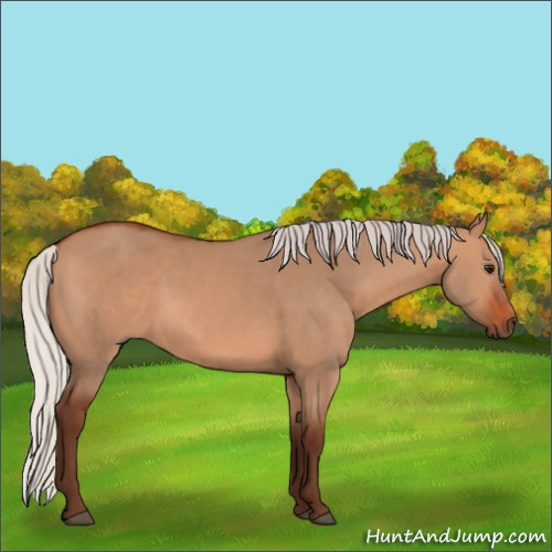 Horse Color:Silver Bay Dun 