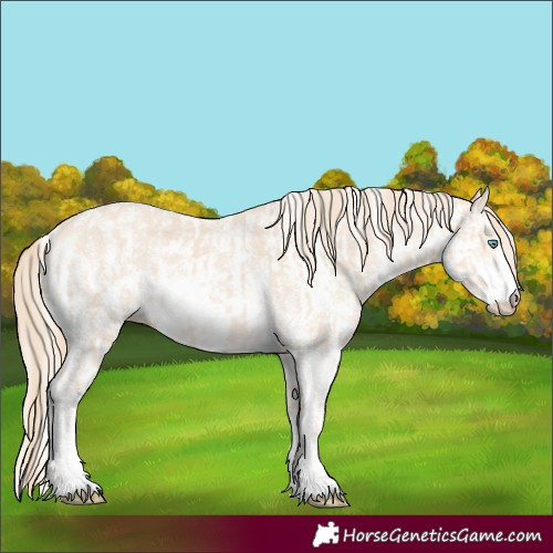 Horse Color:Perlino Sabino and Perlino Sabino Rabicano