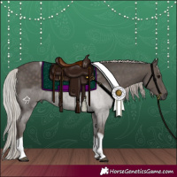 Horse Color:Silver Black Tobiano 